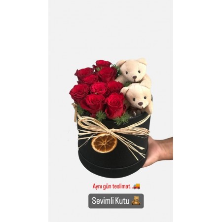 Sevimli Kutu.